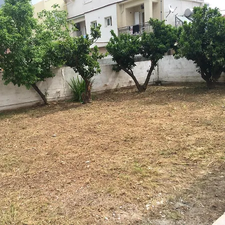 Lena's Traditional Agia Efimia